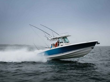Boston Whaler Boats For Sale